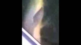 Horney Perverted Slidell Dolphin has sex with a boat during Hurricane Isaac