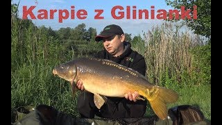 Karpie z Glinianki
