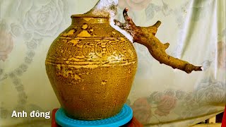 Cây bonsai đẹp nhờ cái chum