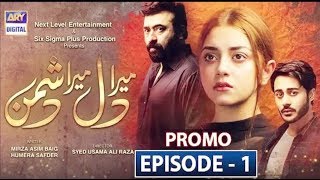 Mera Dil Mera Dushman Episode 1 Promo | Starting From 3rd February 2020 | ARY Digital