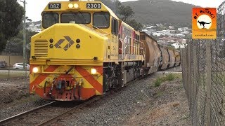 Massive woodchip shuttle train - Albany, Western Australia