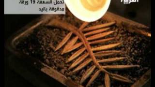 السعفة الذهبية..جائزة المهرجان المعتمدة منذ العام 1955