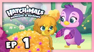 Hatchimals | Adventures in Hatchtopia S1 | Episode 1 – A Whole New World