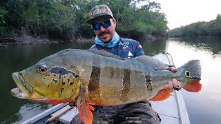 CRISTIAN VANEGAS (Capitulo 7) RIO MATAVEN - PEACOCK BASS. Colombia 25-2 Abril 2018