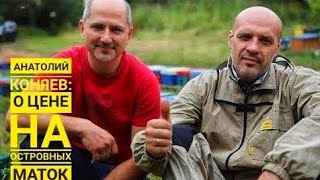 Голландский матковод Анатолий Коняев о справедливой цене на островные матки
