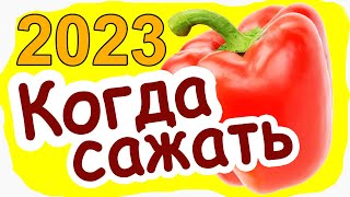 Когда сажать Перец на рассаду в 2019 году