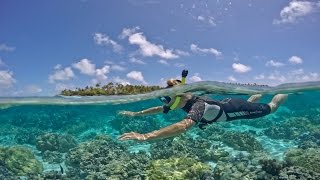 Coral Garden - Tahaa - taha'a island resort - gopro dome port