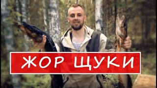 ЛОВЛЯ ЩУКИ НА СПИННИНГ | ЖОР ЩУКИ |  ТАЙГА |  РЫБАЛКА В ТАЙГЕ