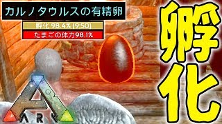 【アークモバイル】ブリーディングで卵を孵化させて最強の恐竜を育てる！[カルノタウルス刷り込み100％]【ARKモバイル】【ARKスマホ版】【実況】#23