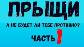 Прыщи/А НЕ ЗАТОШНИТ ЛИ ТЕБЯ? / подборка