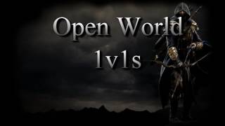 2h Bow Stamina Dragon Knight Dark Brotherhood PvP Vol 2