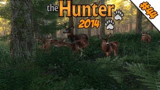 The Hunter 2014 #44 - Wildschwein Kuscheltag ★ Let's Play The Hunter 2014