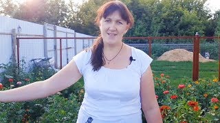 НАШ СУПЕР - ОГОРОД!Наш ОГОРОД В ИЮЛЕ-АВГУСТЕ. Обзор.