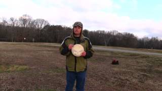 Discraft Stratus Review