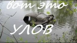 #МАГНИТ! НЕОЖИДАННЫЕ НАХОДКИ! В ПОИСКАХ КЛАДА И ЗОЛОТА ОТ ВИКЛИНГА!