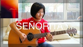 Señorita - Shawn Mendes & Camila Cabello (fingerstyle guitar cover) (free tabs)