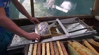 Откачка меда СТАНОК ДЛЯ РАСПЕЧАТКИ СОТОВЫХ РАМОК Extracting Honey