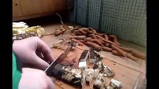 Mieszanka warzywna dla królików