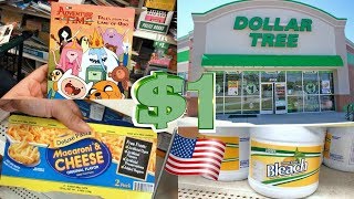 QUALQUER ITEM SÓ $1! ?? COMPRINHAS NO DOLLAR TREE + DIA DE PARQUE
