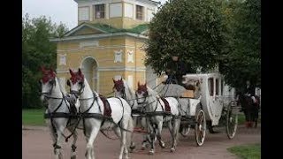 №203 Даниэль Булочник  ох! эти кони