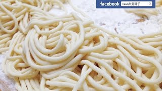 【製麵全程紀錄】小太陽多功能自動製麵機--最接近純手工的製麵條機