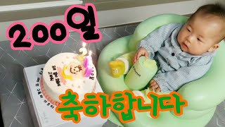 [라옹] 탄생 200일 축하 방법, 축하선물 구매 및 기념 엄마 먹방 | 강릉 중앙시장 길거리 음식, 레터링 케이크
