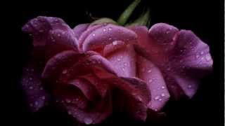 Wedding Waltz (E. Karaindrou) - Notis Mavroudis & Panagiotis Margaris