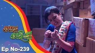 Tara Tarini | Full Ep 239 | 10th August 2018 | Odia Serial - TarangTV