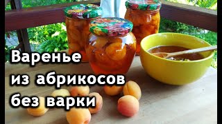 Варенье из абрикосов без варки. Как приготовить абрикосовое варенье на зиму.