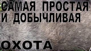 Самая простая и добычливая ОХОТА