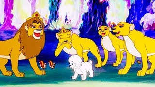 SIMBA LE ROI LION | Partie 45 | Épisode Complet | Français | Simba The King Lion