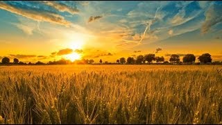Сборник песен о Родине