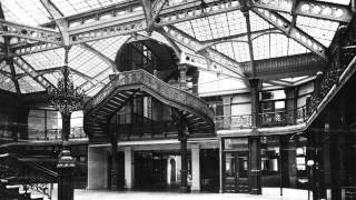 The Rookery: A Natural Light Challenge