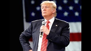 Trump's Totally Not Guilty Twitter Meltdown