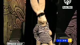Зайчик Тоша О Крысках,Мышках И Празднике.