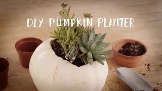 DIY Fall Pumpkin Planter