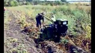 Мотоблок SH 61 + картофелекопалка - www.agro-moto.com