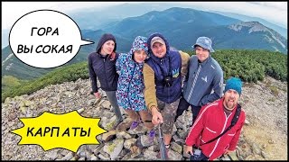 ЕЩЕ ОДНА ВЕРШИНА ? Поход В Карпаты! Гора Висока, Полонина Середня (Горганы) #8