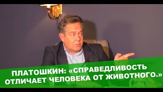 Платошкин эмоционально о гонениях евреев ,заявлении Зеленского в Освенциме и аресте Зубкова.