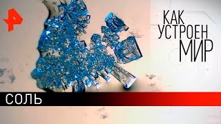 Соль. "Как устроен мир" с Тимофеем Баженовым (05.12.18).