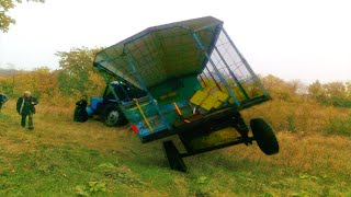 Пасека Случай на кочевке А могло быть и хуже