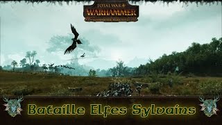 [Total War: Warhammer FR] Elfes Sylvains: Présentation Bataille vs Empire!