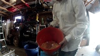 Fattening Hogs on Dumpster Dive Food - Preparation