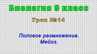 Биология 9 класс (Урок№14 - Половое размножение. Мейоз.)