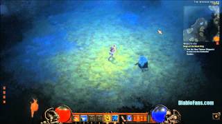 Diablo III - Beta Patch 15 - Witch Doctor Skills