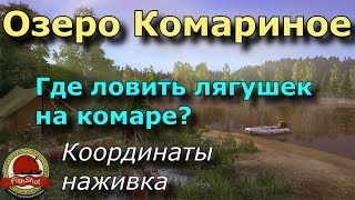 Где ловить лягушек на озере Комариное - Русская Рыбалка 4