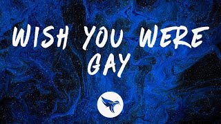 Billie Eilish - wish you were gay (Lyrics)