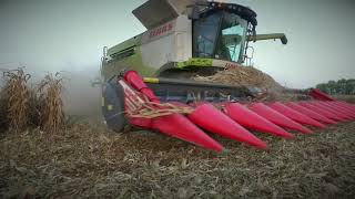 12-ти рядная кукурузная жатка Capello Quasar с комбайном Claas lexion 780tt