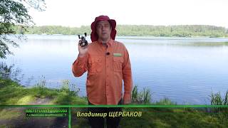 Мастерская рыболова. Сезон 4. Техническое обслуживание  мультипликаторной катушки