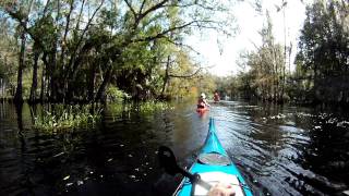 We Pass Some Canoes on Fisheating Creek 11-6-2011 raw video